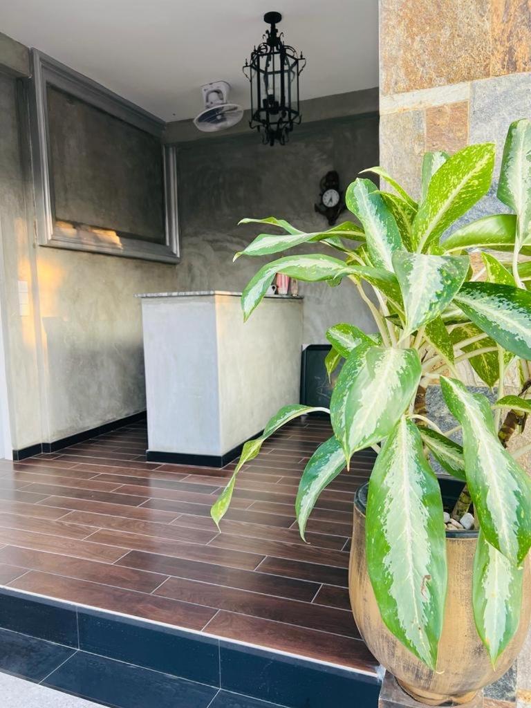 Mama'S Boutique Beach Hotel 尼甘布 外观 照片